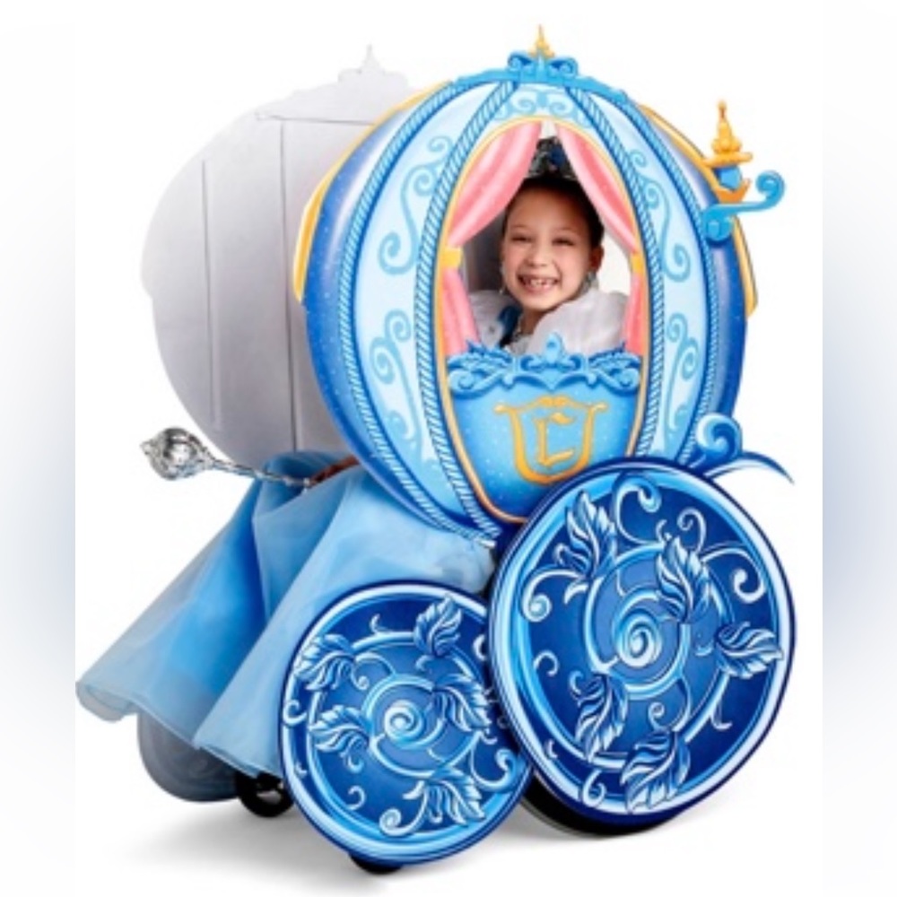 Disney Princess wheelchair cover